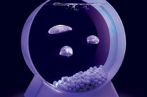Desktop Jellyfish Tank with LED Lights